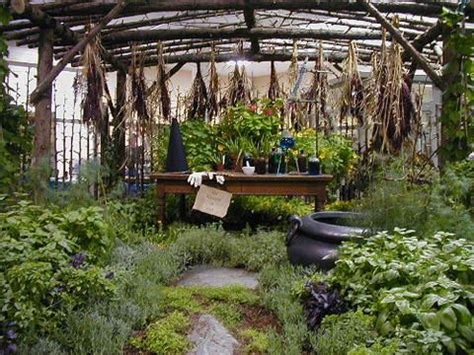 Enhancing Your Witchcraft Practices with the Witch Garden